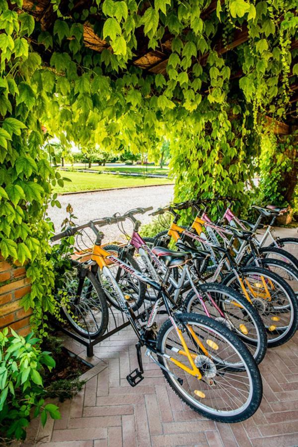 Agriturismo Tenuta Regina - Glamping Luxury Lodges And Apartments Palazzolo dello Stella Kültér fotó